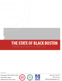 The State of Black Boston (2010)